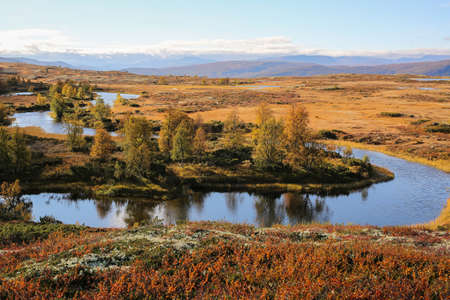Fall in the Forollhogna national park , Norwayの写真素材