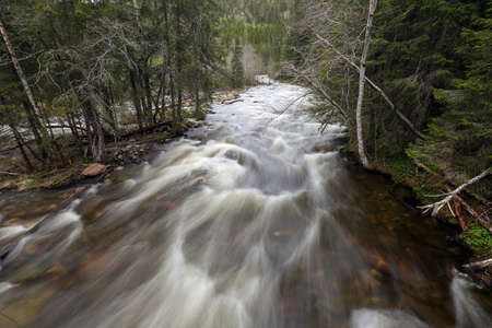 Spring flood in Norway, near the lake Selbu located in Trondelag
