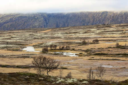Fall in the Forollhogna National park, first frost in the mountains, the area for tourism and grouse...