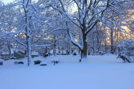 Winter in Trondheim, view of the Nidarosdomen cemetery covered with snow after snowfallの写真素材