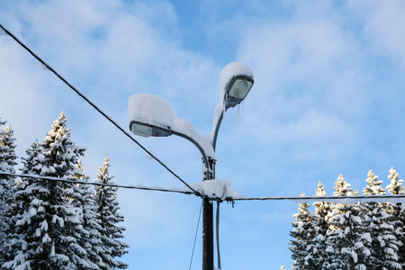 Electro line  covered with snow after snowfall. Tillermarka, Norway.の写真素材