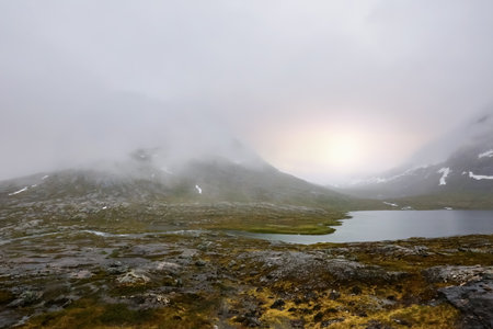 Nature in the Reinheimen National Park in the foggy day in the summer