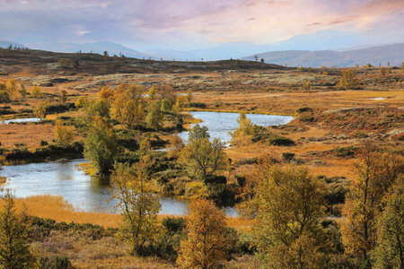 Indian summer in the mountains in Norway, the picture was taken in the Forollhogna National Parkの写真素材