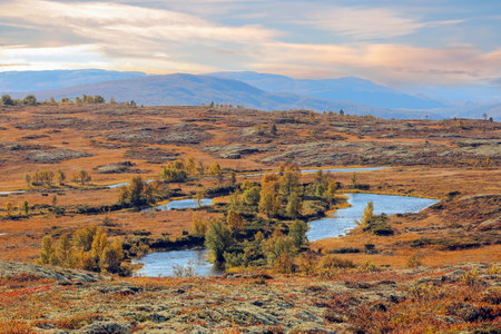Indian summer in the mountains in Norway, the picture was taken in the Forollhogna National Parkの写真素材