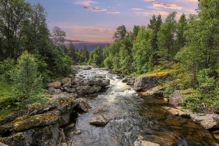 Stream at the river Inna  that flows through the municipality of Verdal in Troendelag county, Norway.の写真素材