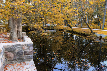 Autumn in the Kemeri park located in Latvia near the capital Riga.