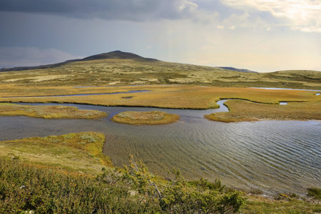 The river Orkla source out of the lake Orkel, Oppdal county , Norwayの写真素材