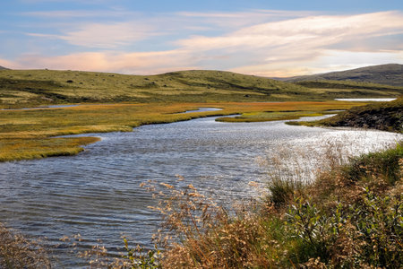 The river Orkla source out of the lake Orkel, Oppdal county , Norway