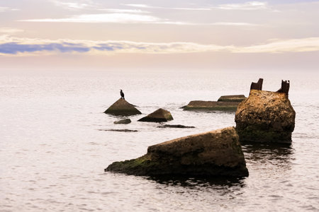View of the Rigas bay near Mangalsala lighthouse .Lonely cormorant enjoing autumn sunsetの写真素材