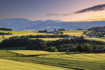 Summer in Norway, view of the agricultural area Byneset located near the city Trondheim