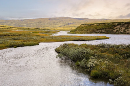 River Orkla source from the lake Orkla located in Oppdal county, Norwayの写真素材
