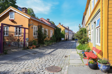 Summer in Trondheim, view of the street with colorful houses  in the historical district Bakklandetの写真素材