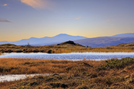 Indian summer landscape in Forollhogna National Park located in the central part of Norwayの写真素材