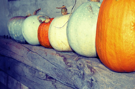 Pumpkins on wooden rustic shelfの写真素材