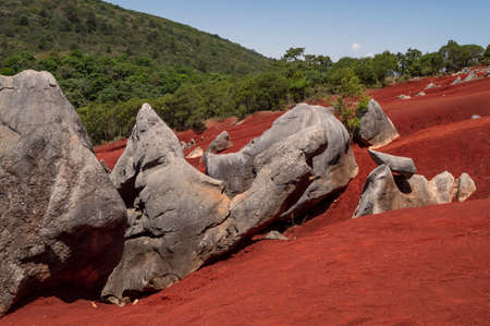 Pacula red dunes in the state of Hidalgo. Mexico.の写真素材