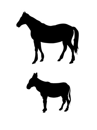 Vector horse and donkey silhouetteのイラスト素材