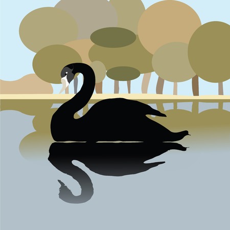 Black swan on a lake, romantic background illustrationのイラスト素材