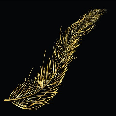 Golden feather floating over black backgroundのイラスト素材