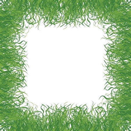 Fresh grass frame over white backgroundのイラスト素材