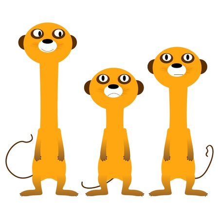 Curious meerkats, isolated and grouped objects over white backgroundのイラスト素材