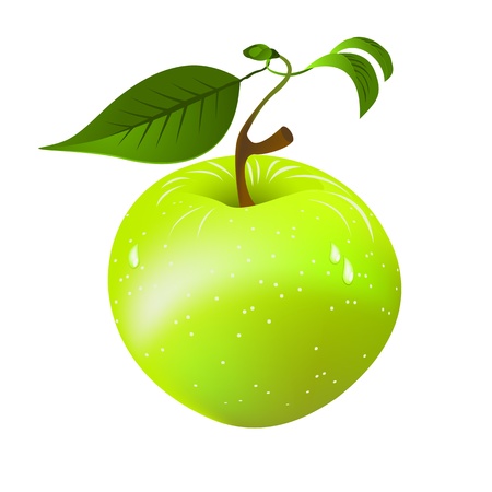 Fresh green apple with leavesのイラスト素材