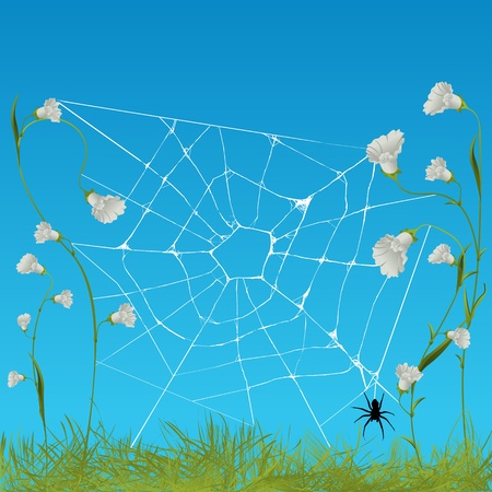 web spider among flowers, graphic artのイラスト素材