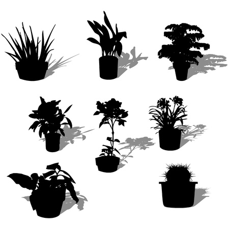 Potted plant silhouettes and reflection over white backgroundのイラスト素材