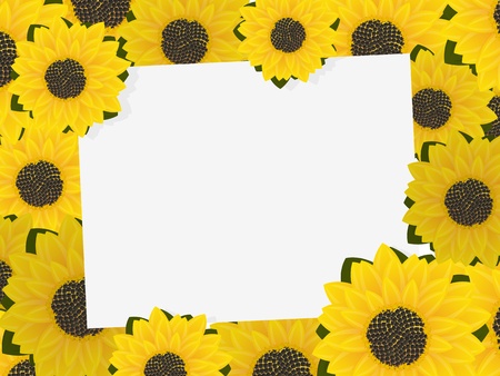 Text  photography card with sunflower frame, graphic artのイラスト素材
