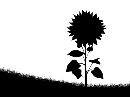 Silhouette of a sunflower on the field of grassのイラスト素材