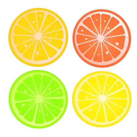 Various citric slices against white backgroundのイラスト素材