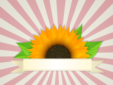 Summer banner design with graphic sunflower のイラスト素材