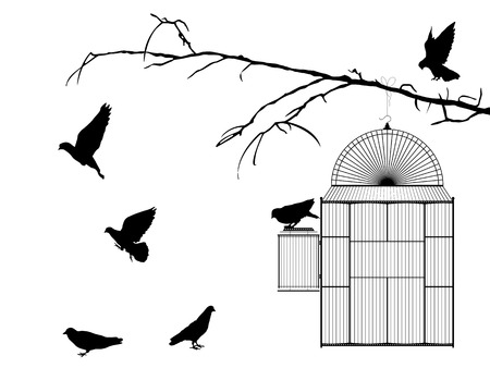 Bird cage silhouette over white backgroundのイラスト素材