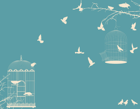 Birds and birdcages postcard designのイラスト素材