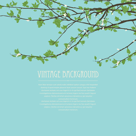 Spring background with blossoming tree brunch against white backgroundのイラスト素材