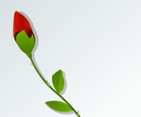 Young red rose card with copy spaceのイラスト素材