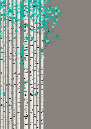 Birchwood forest cardのイラスト素材