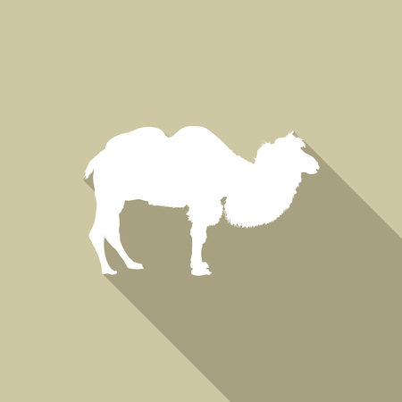 Camel icon, flat style designのイラスト素材