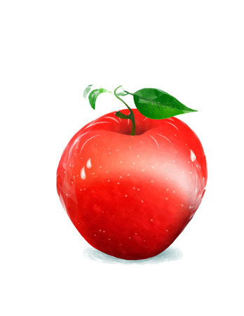 Watercolor style drawing of a red apple against white backgroundの写真素材