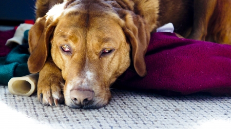 Tired Girl