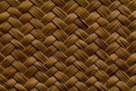 The bamboo pattern background