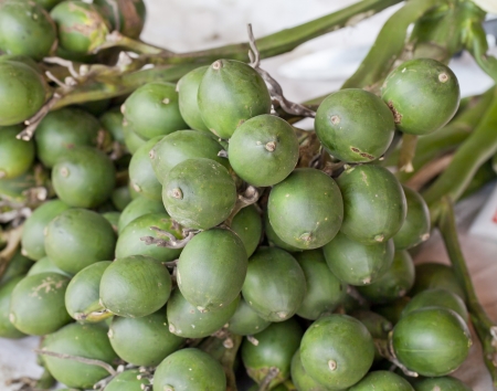 Areca nutの写真素材