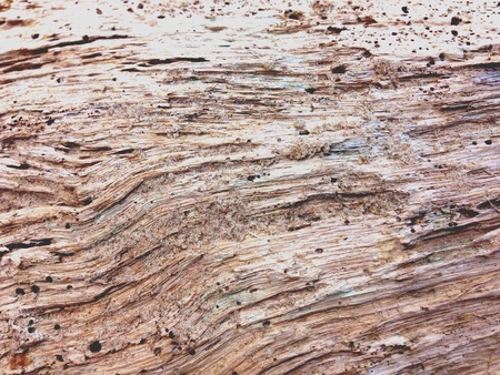 Old wooden backgroundの素材