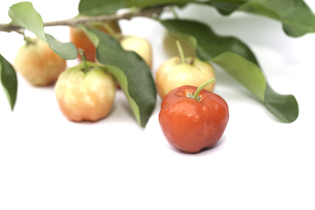 Acerola fruit isolated on the white backgroundの写真素材