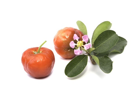 Acerola fruit isolated on the white backgroundの写真素材
