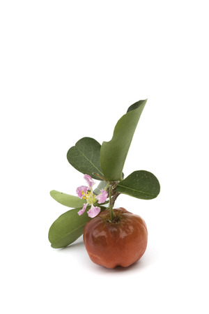 Acerola fruit isolated on the white backgroundの写真素材