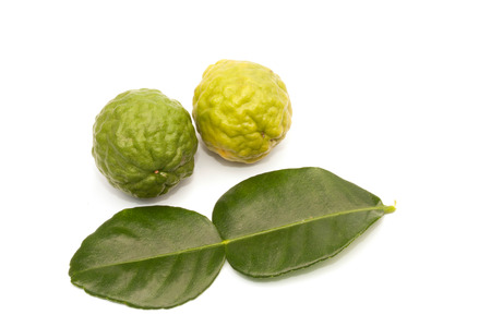 Kaffir lime isolated on the white backgroundの写真素材