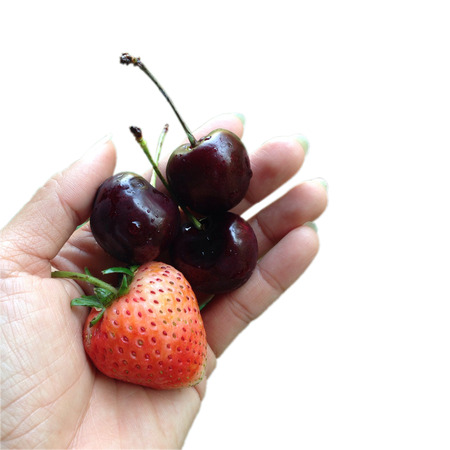 Fresh berry in the diet lady hand isolated on the white backgroundの写真素材