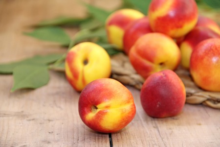 Apricotsの写真素材