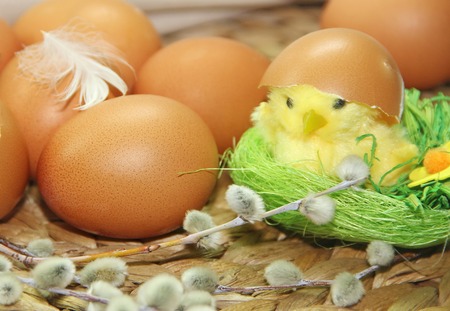 Eggs on the tableの写真素材