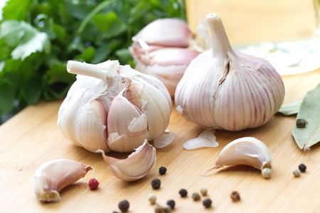 Garlic and spicesの写真素材